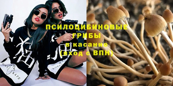 соль ск Абдулино