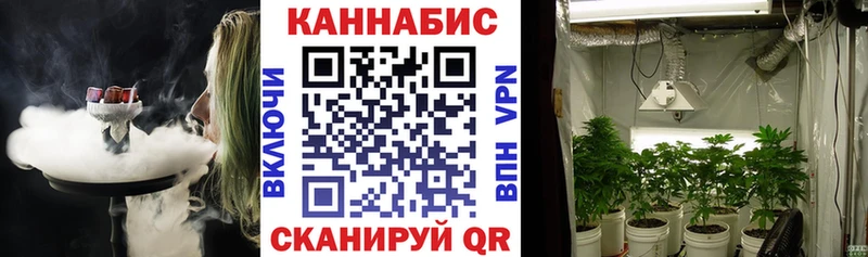 где можно купить   Сергач  Бошки Шишки гибрид 